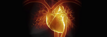 The Power of Exercise: A Heart Attack Survivor's Experience
