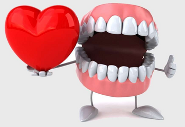 Exploring the Connection Between Oral Hygiene and Cardiovascular Health
